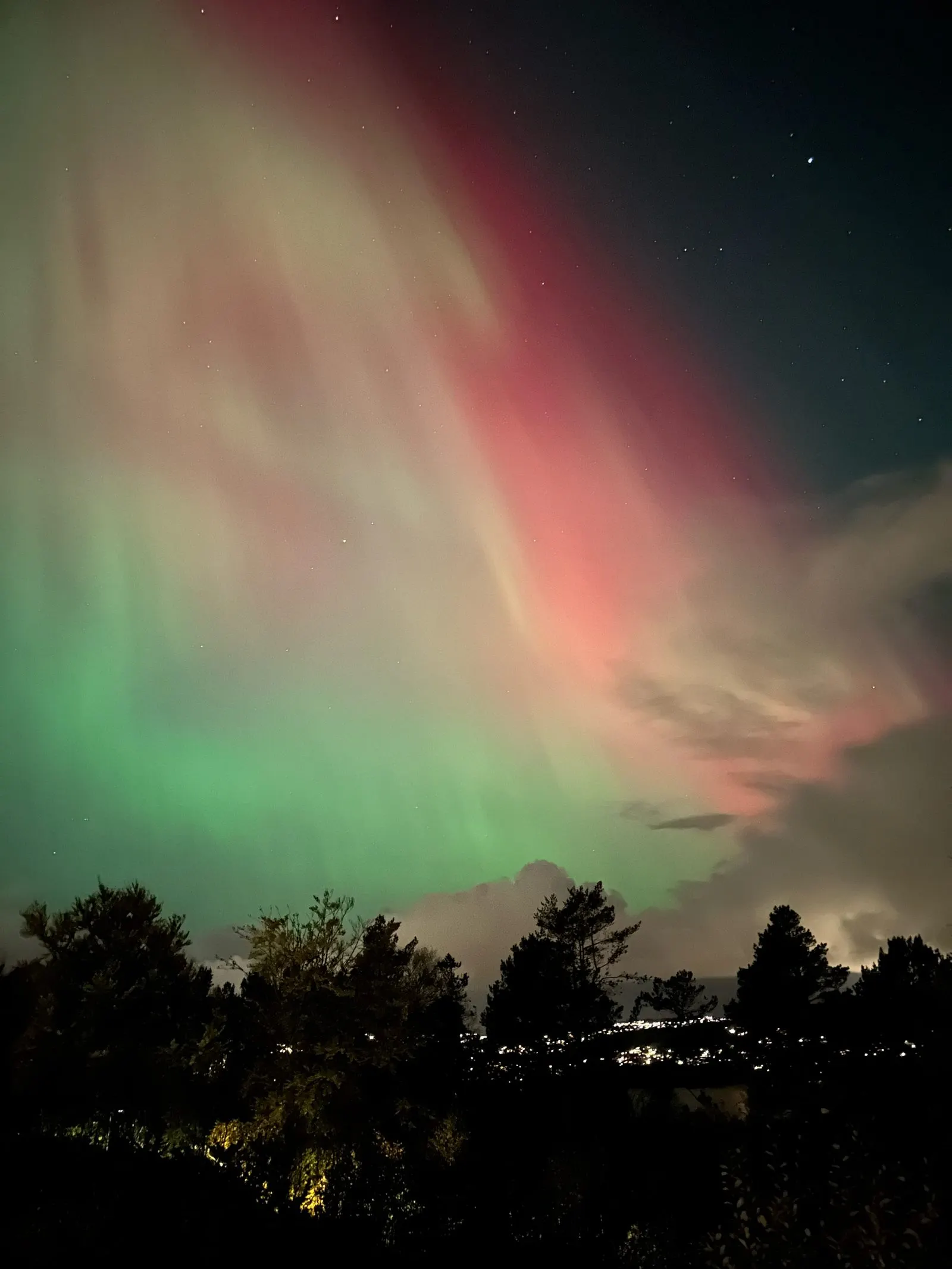 Nordlys over trær og byens lys i bakgrunnen